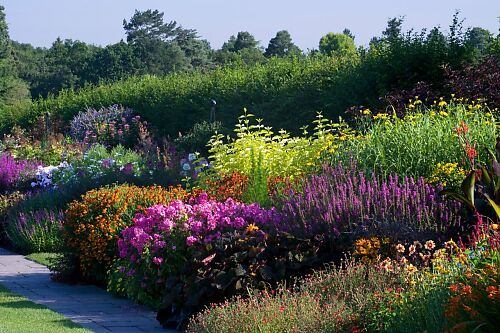 Where to eat if you’re going to the RHS Chelsea Flower Show